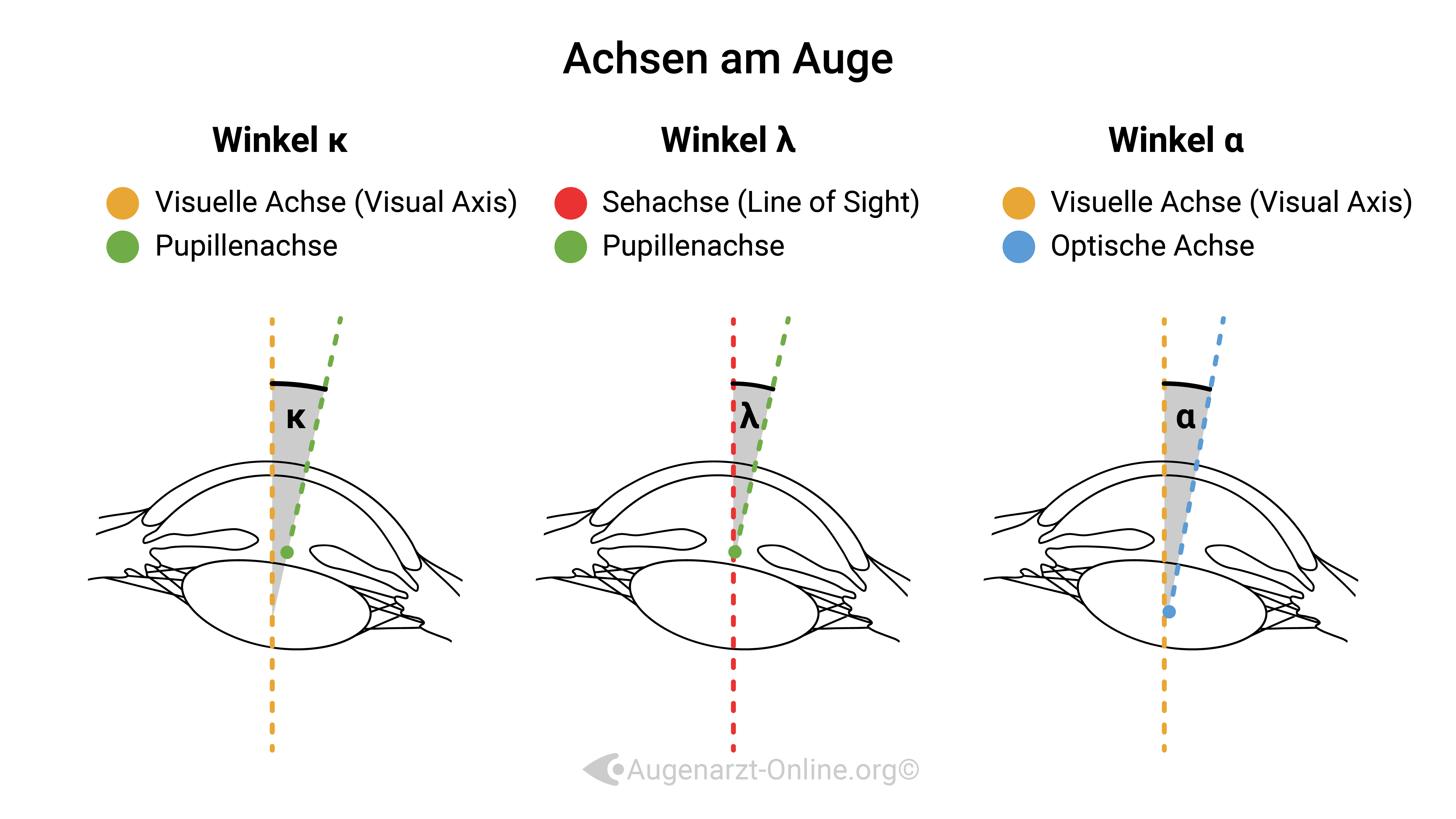 Winkel des Auges