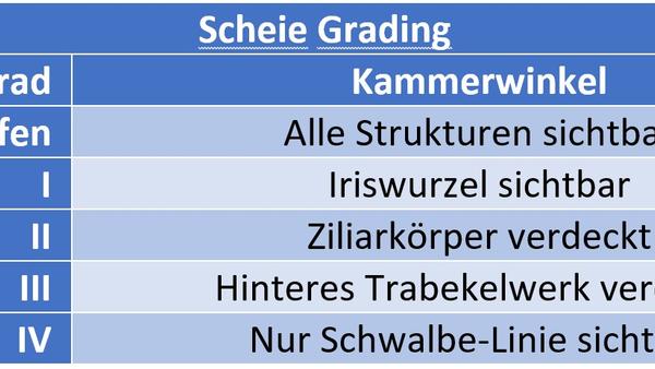 Scheie Grading