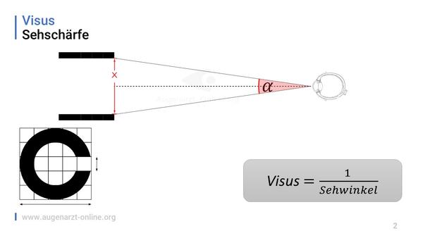 Visus