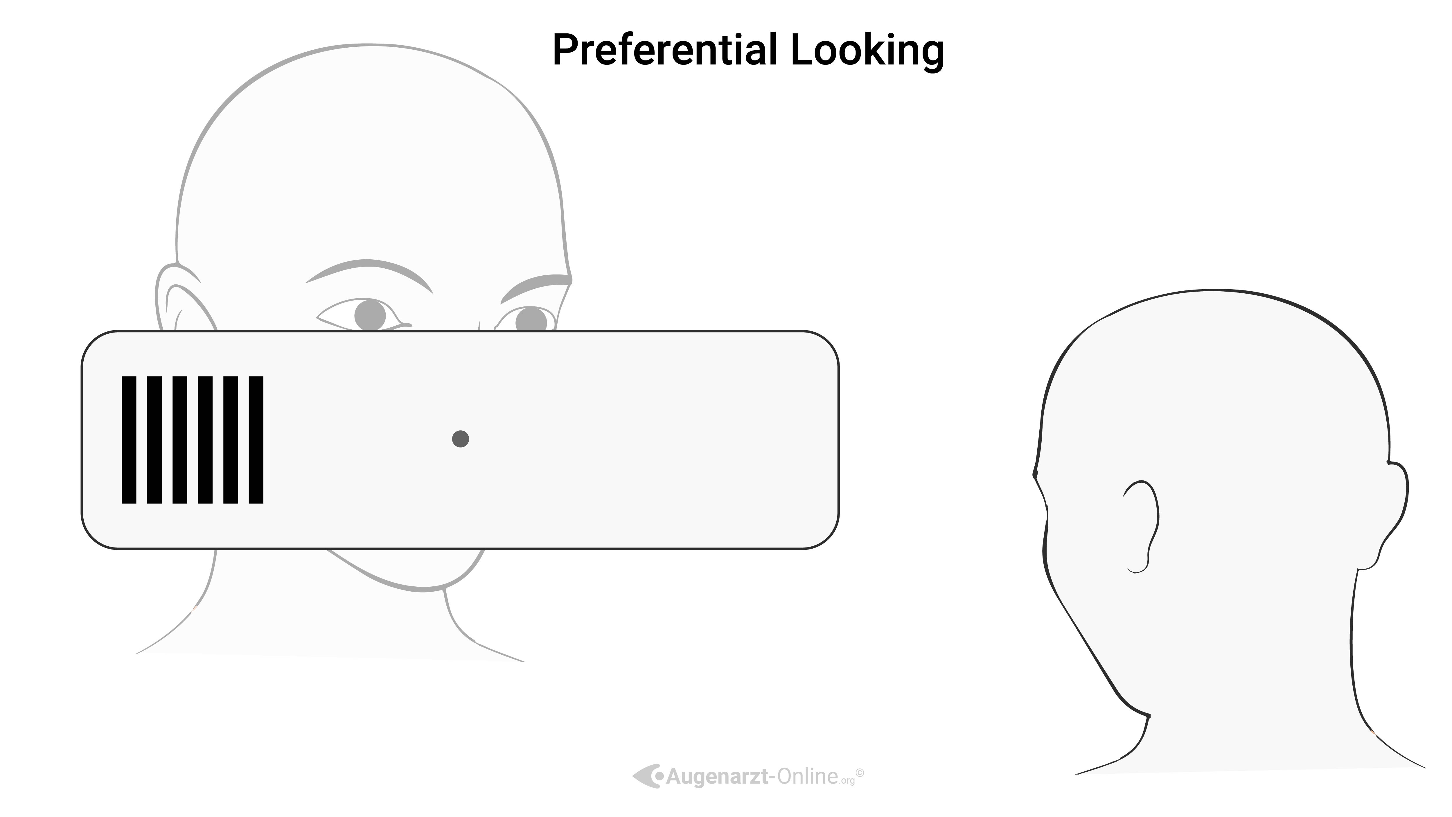 Preferential Looking Test