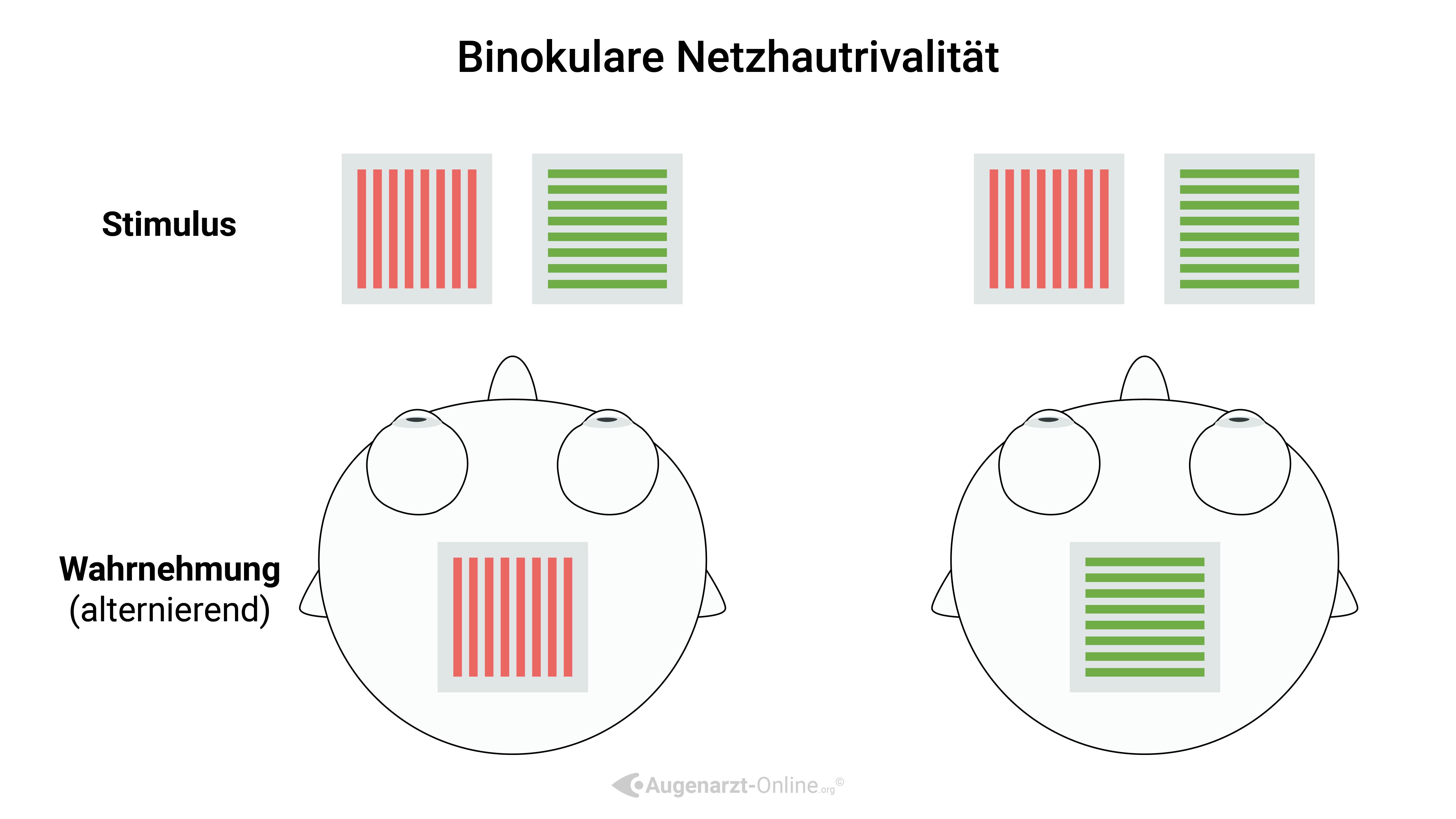 Binokulare Netzhautrivalität