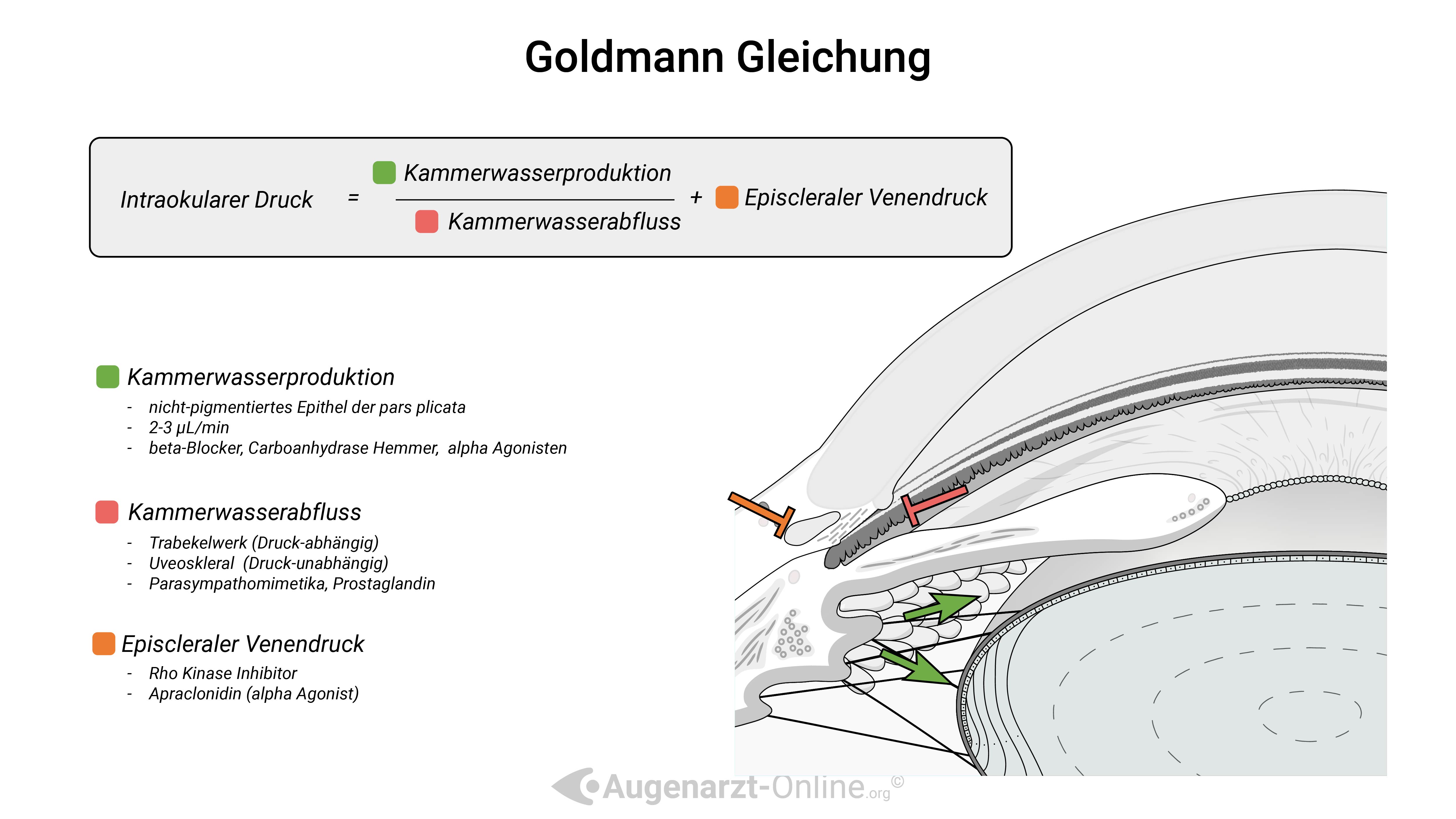 Goldmann Gleichung