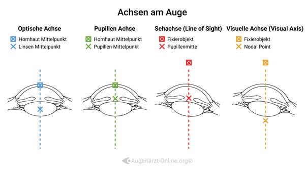 Achsen im Auge