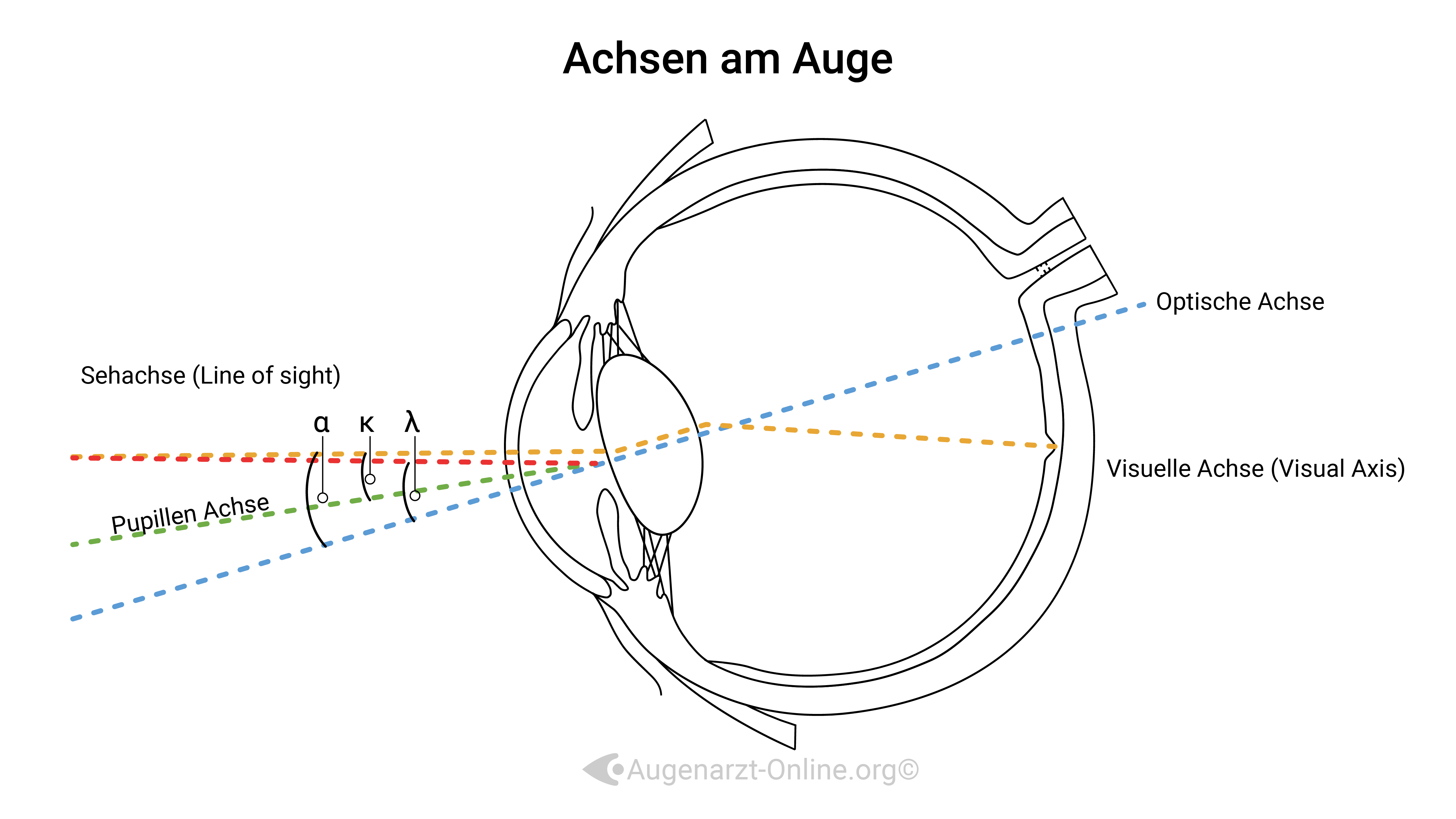 Achsen im Auge