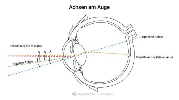 Achsen im Auge