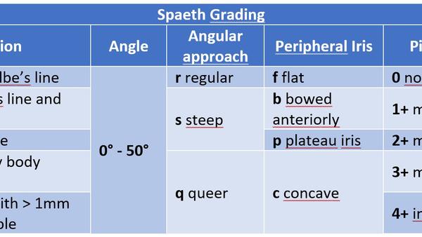 Spaeth Grading