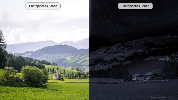 Skotopisches Sehen vs Photopisches Sehen