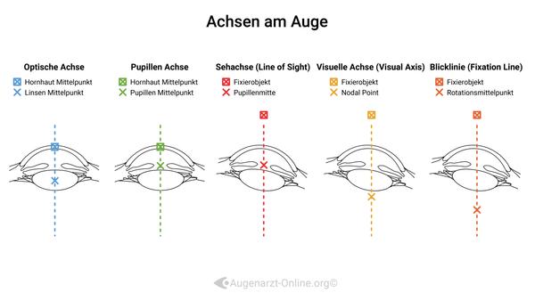 Achsen im Auge